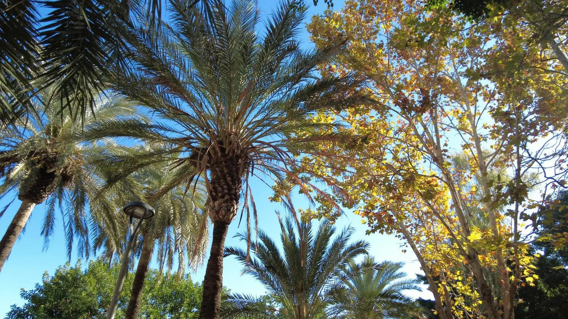Apartamento Fuengirola City Parque del Sol